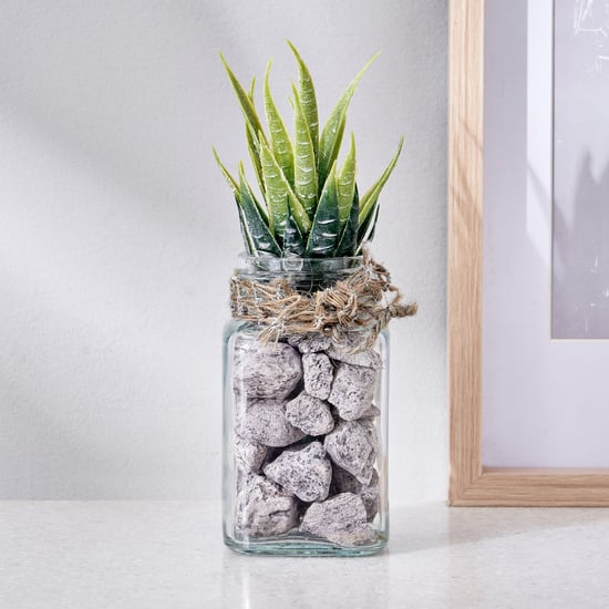 Corsica Tricia Artificial Succulent in Glass Jar