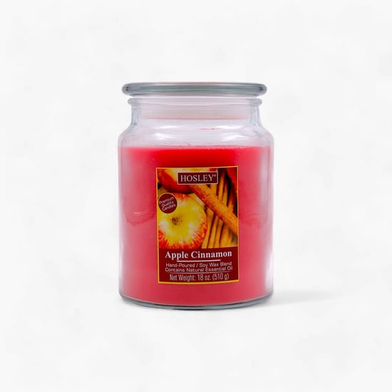 HOSLEY Apple Cinnamon Scented Jar Candle