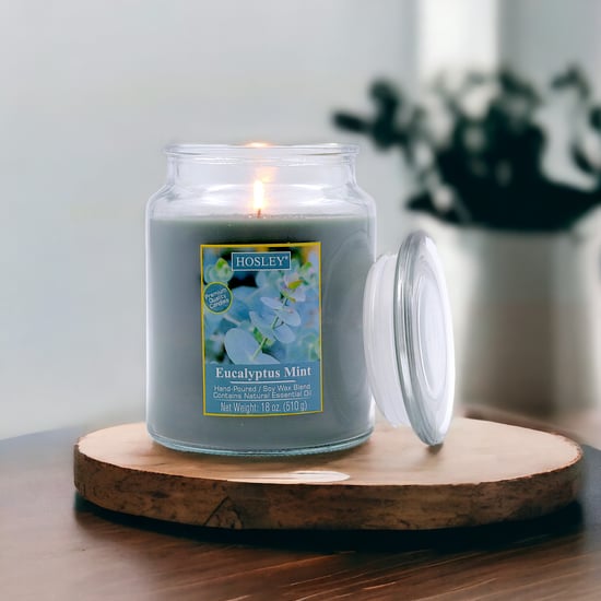 HOSLEY Eucalyptus Mint Scented Jar Candle