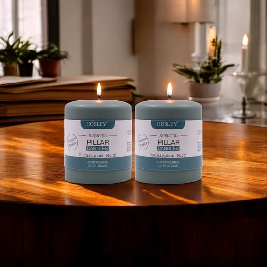 HOSLEY Set of 2 Eucalyptus Mint Scented Pillar Candles