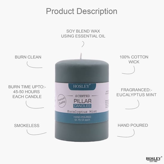 HOSLEY Set of 3 Eucalyptus Mint Scented Pillar Candle
