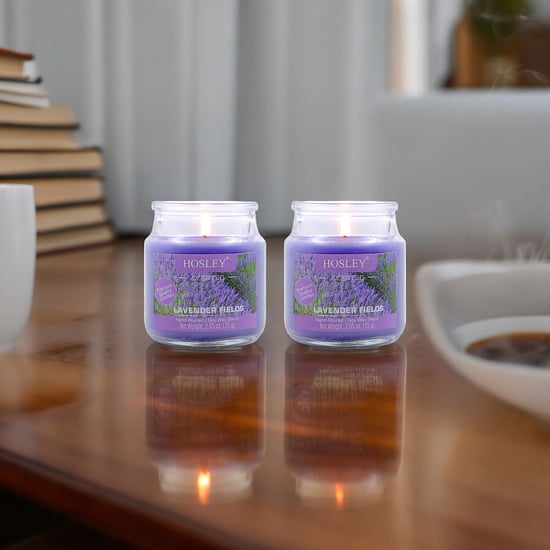 HOSLEY Set of 2 Lavender Fields Scented Jar Candles