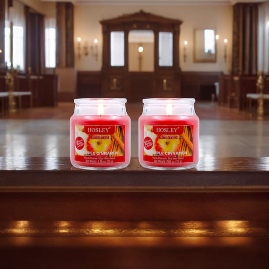 HOSLEY Set of 2 Apple Cinnamon Scented Jar Candles