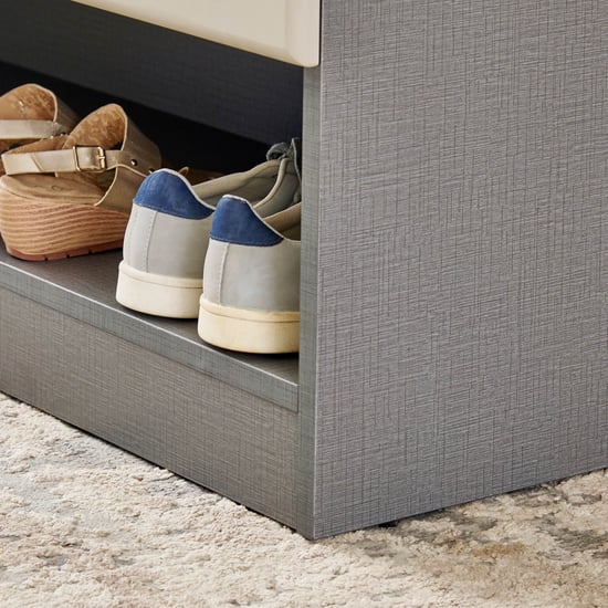 Tiffany 2-Door 20 Pairs Shoe Cabinet - Grey