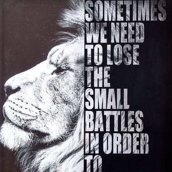 Spectrum Pitch Lion Print Picture Frame - 25x35cm