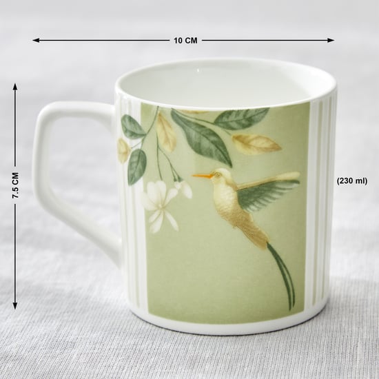 Mandarin Botanica Set of 6 Bone China Printed Coffee Mugs - 230ml