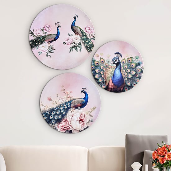 Brezza Peacock Set of 3 Canvas Printed Picture Frames