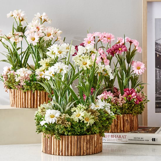 Gloria Floret Natural Dried Flowers with Bamboo Fence