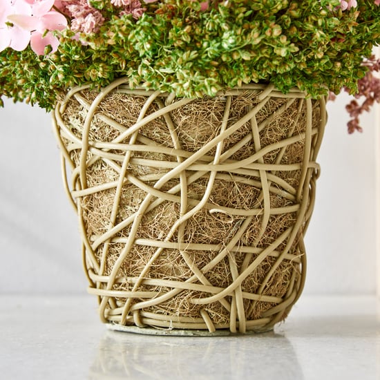 Gloria Floret Natural Dried Flowers with Basket