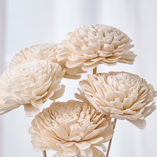 Festoon Natura Set of 5 Dried Shola Flowers - 53cm