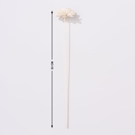Festoon Natura Set of 5 Dried Shola Flowers - 53cm