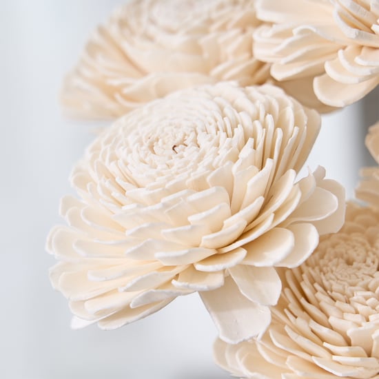 Festoon Natura Set of 5 Dried Shola Flowers - 53cm