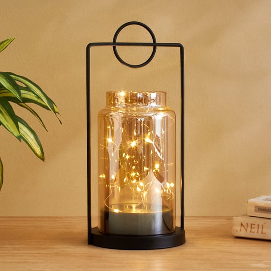 Serena Ignite Glass LED Decorative Light with Metal Frame