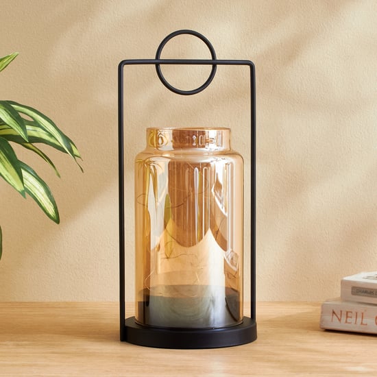 Serena Ignite Glass LED Decorative Light with Metal Frame