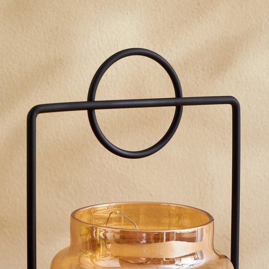 Serena Ignite Glass LED Decorative Light with Metal Frame