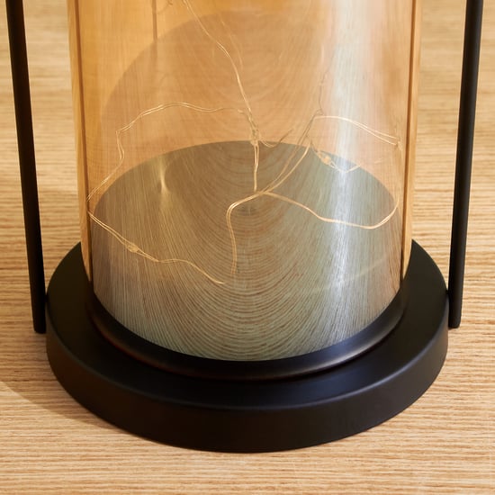 Serena Ignite Glass LED Decorative Light with Metal Frame