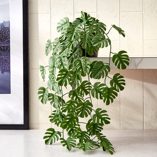 Gloria Vine Artificial Hanging Monstera in Pot