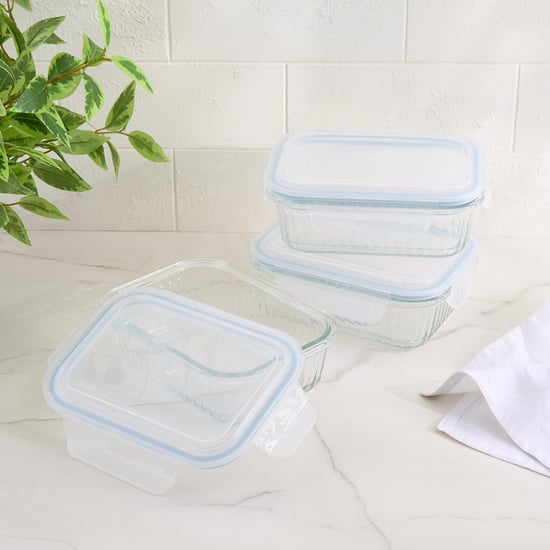 Glassify Delish Set of 3 Glass Containers - 640ml