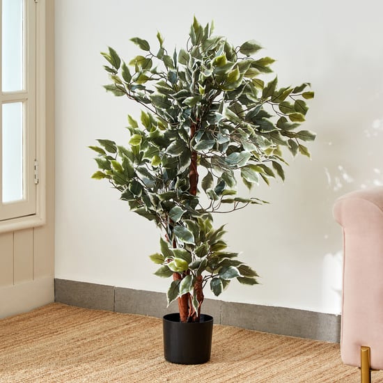 Gardenia Ficus Artificial Variegate Plant in Pot