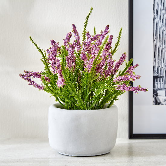 Gloria Bud Pine Needle Flowers in Cement Pot
