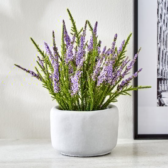 Gloria Bud Pine Needle Flowers in Cement Pot