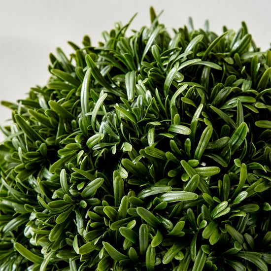 Gloria Ticket Artificial Water Grass Bush Ball