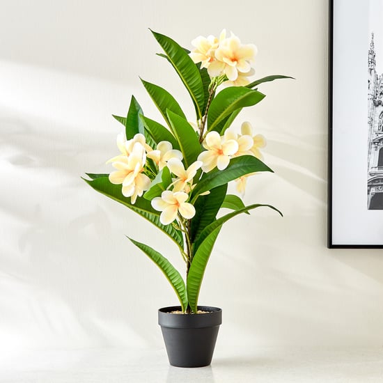 Gardenia Plumeria Artificial Magnolia Potted Plant