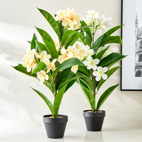 Gardenia Plumeria Artificial Magnolia Potted Plant