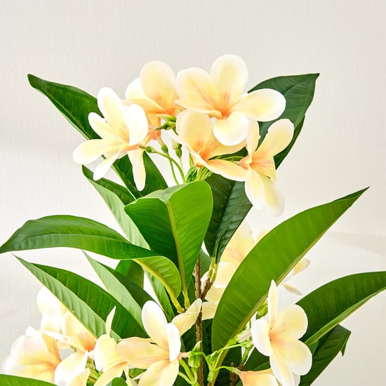 Gardenia Plumeria Artificial Magnolia Potted Plant