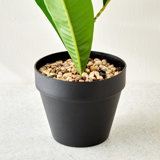 Gardenia Plumeria Artificial Magnolia Potted Plant