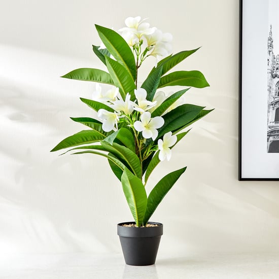 Gardenia Plumeria Artificial Magnolia Flowers in Pot