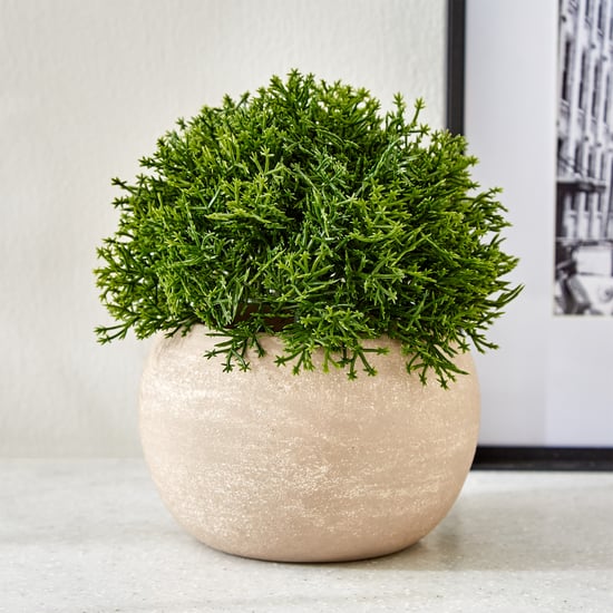 Gloria Bond Artificial Coral Cactus Plant in Paper Mache Pot