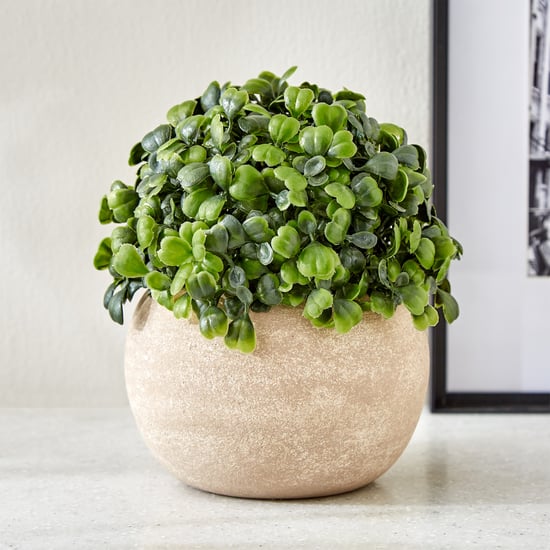 Gloria Bond Artificial Plant in Paper Mache Pot
