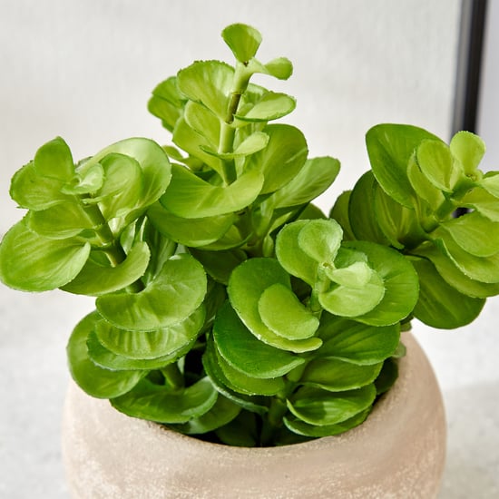 Gloria Bond Artificial Plant in Paper Mache Pot