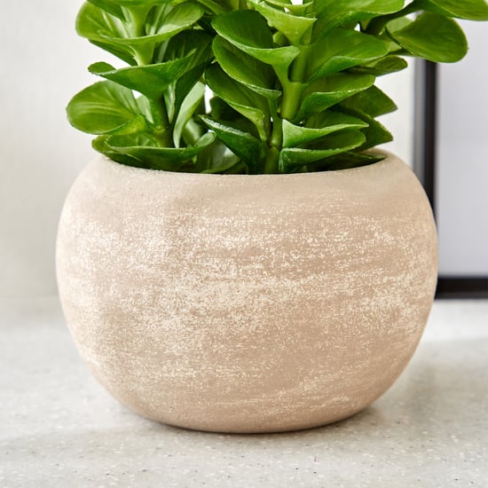 Gloria Bond Artificial Plant in Paper Mache Pot