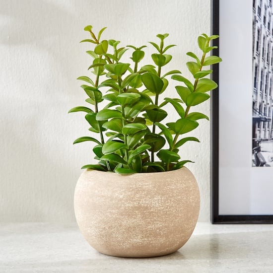 Gloria Bond Artificial Apple Leaf Plant in Paper Mache Pot