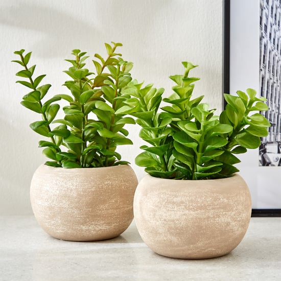 Gloria Bond Artificial Apple Leaf Plant in Paper Mache Pot