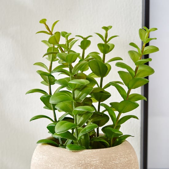 Gloria Bond Artificial Apple Leaf Plant in Paper Mache Pot