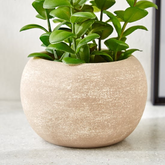Gloria Bond Artificial Apple Leaf Plant in Paper Mache Pot