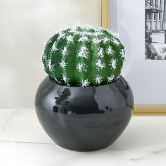 Gloria Poco Artificial Cactus Succulent in Ceramic Pot