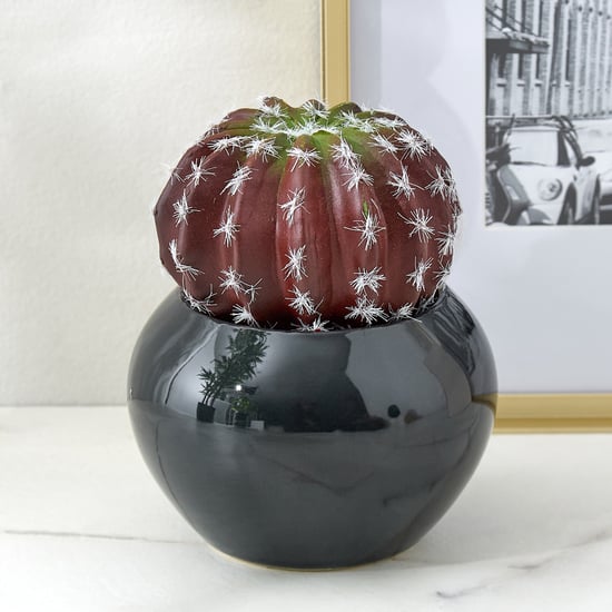 Gloria Poco Artificial Cactus Succulent in Ceramic Pot