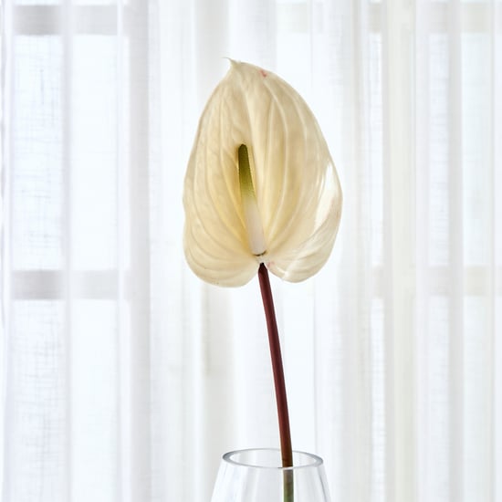 Fiesta Artificial Anthurium Flower Stick - 80cm