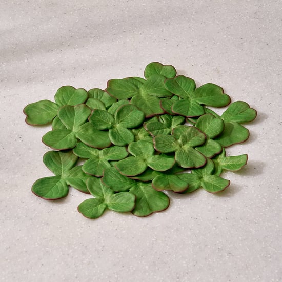 Gloria Hover Set of 30 Fabric Mini Floating Lotus Leaves