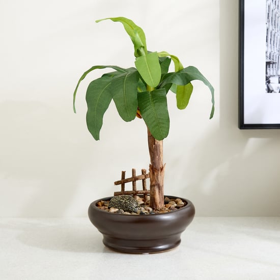 Gloria Artificial Banana Bonsai Plant in Ceramic Pot