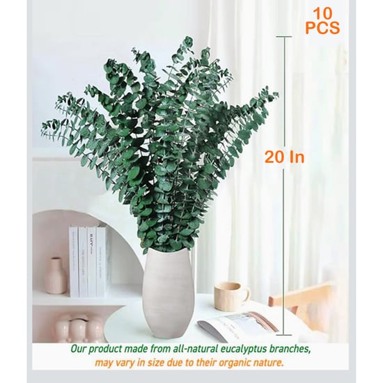 HOMESAKE Set of 10 Dried Eucalyptus Sticks - 50.8cm