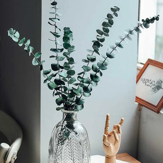 HOMESAKE Set of 6 Dried Eucalyptus Sticks - 50.8cm