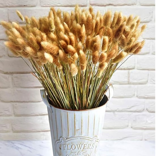 HOMESAKE Set of 60 Dried Bunny Tail Grass Sticks - 62.23cm