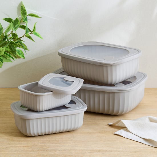 Omnis Aruba Set of 4 Polypropylene Storage Containers