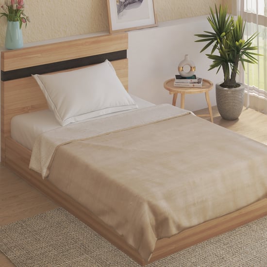 Cloud Cozy Sherpa Single Blanket