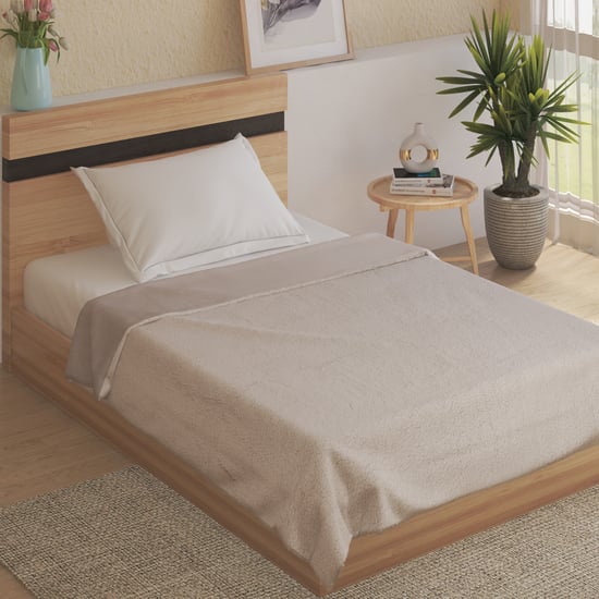 Cloud Cozy Sherpa Single Blanket